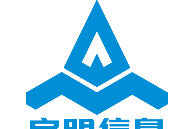 电子信息领域技术服务与计算机软件技术开发咨询的实践路径